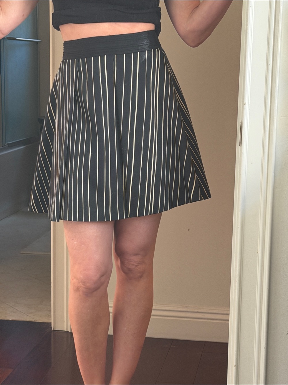 Alice + Olivia Black Skater Skirt with Cream Pinstripes. lined. No wear. Perfect